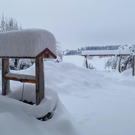 Trollenhof Im Allgaeu - Ferienwohnungen Saeuling Ruckholz المظهر الخارجي الصورة