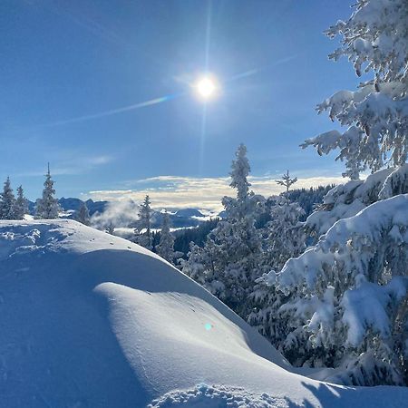 Trollenhof Im Allgaeu - Ferienwohnungen Saeuling Ruckholz المظهر الخارجي الصورة