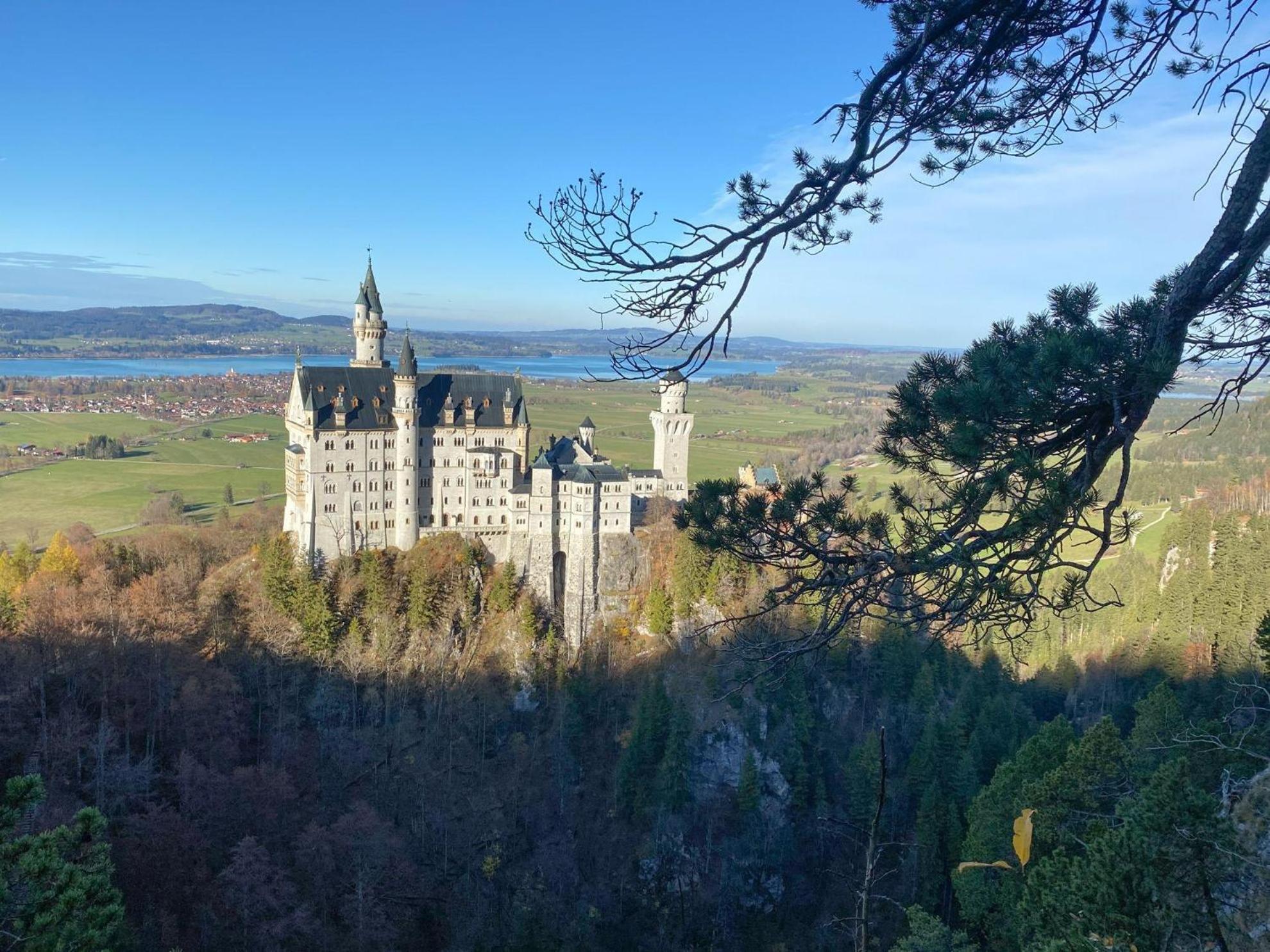 Trollenhof Im Allgaeu - Ferienwohnungen Saeuling Ruckholz المظهر الخارجي الصورة
