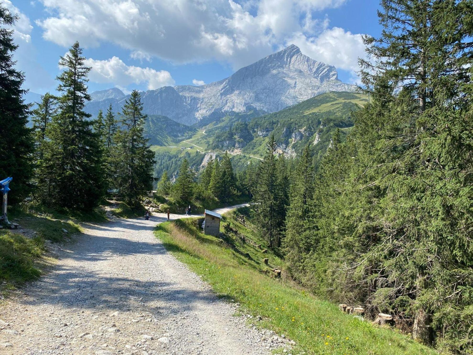 Trollenhof Im Allgaeu - Ferienwohnungen Saeuling Ruckholz المظهر الخارجي الصورة