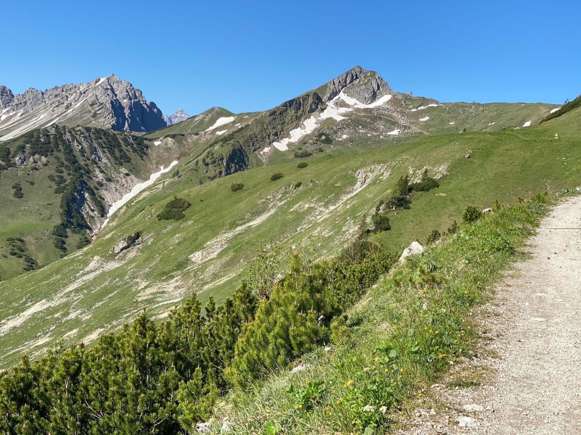 Trollenhof Im Allgaeu - Ferienwohnungen Saeuling Ruckholz المظهر الخارجي الصورة